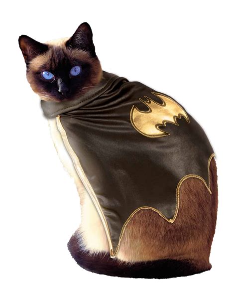 batman cat costume